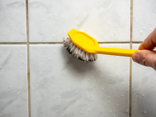 Best Professional Mold Removal  in O, MI