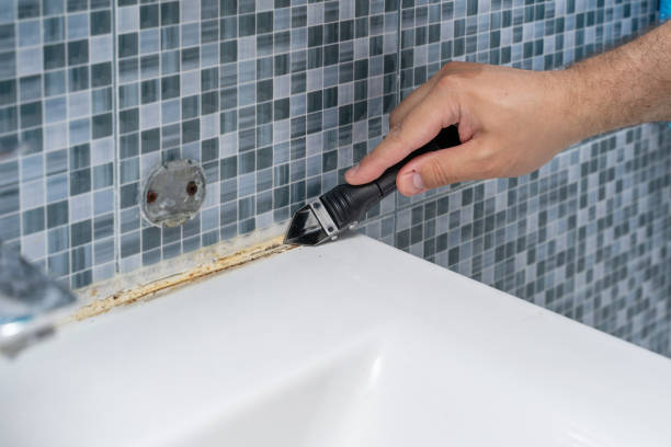 Reliable Mio, MI Mold Removal Solutions